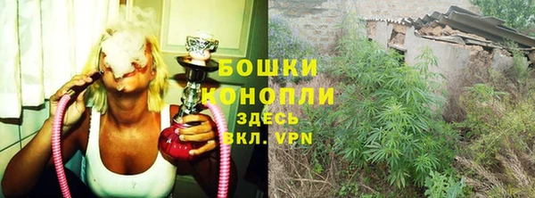 мет Арсеньев